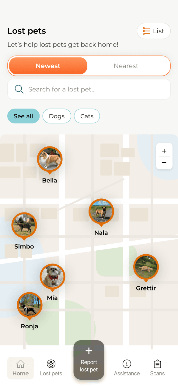 Earlier prototype lost-pets map